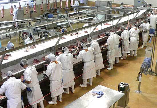 食品厂霉菌滋生原因与消毒剂生产应用解析